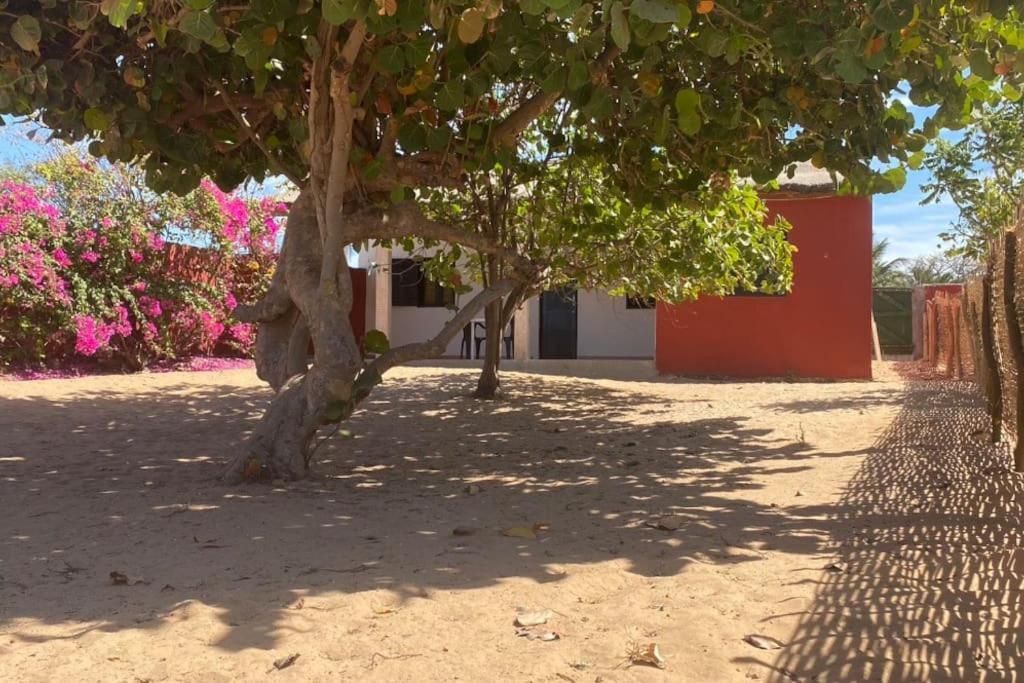 Petite Maison En Bord De Mer Palmarin Nguedj Bagian luar foto